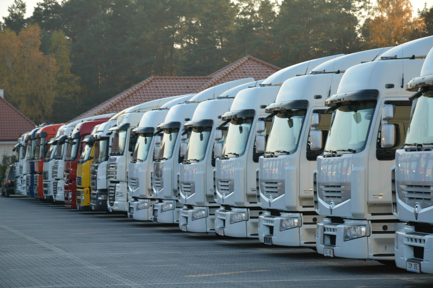 obraz 2025 09 10 104326973